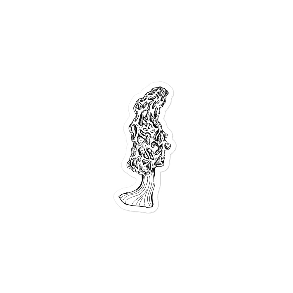 3X3 inch black and white morel mushroom sticker. Design is in a pen and ink illustration style.