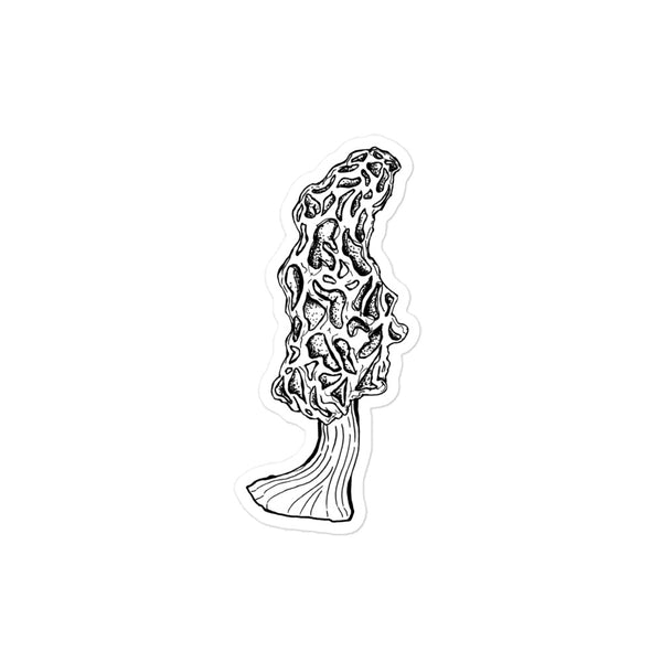 4X4 inch black and white morel mushroom sticker. Design is in a pen and ink illustration style.