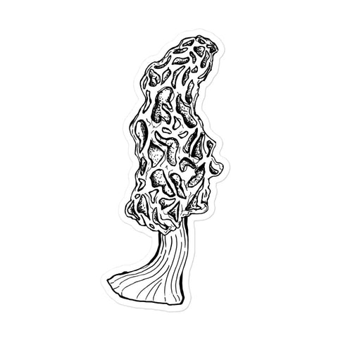 5.5X5.5 inch black and white morel mushroom sticker. Design is in a pen and ink illustration style.